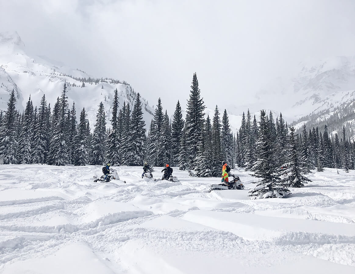 Omni powersports sales
